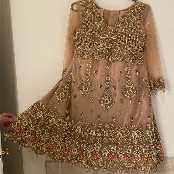 Pakistani/Indian wedding dress